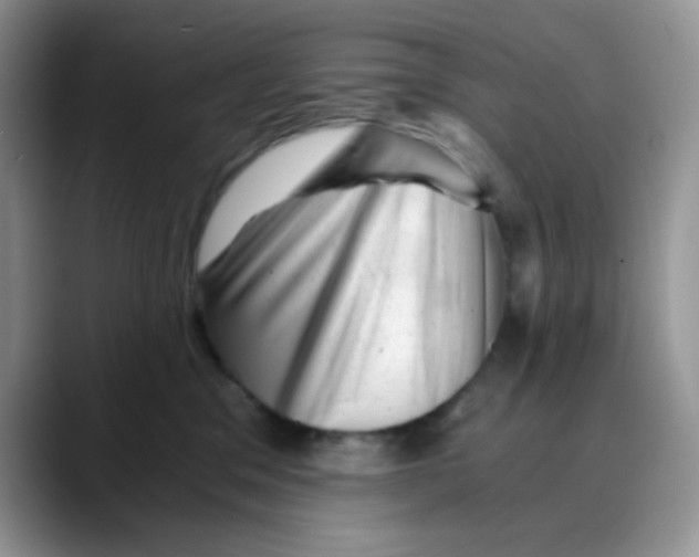 X0000088440329200706121513