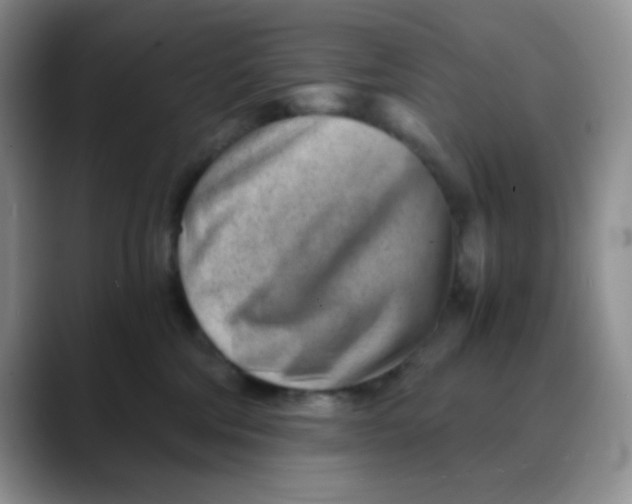 X0000088440330200706121513