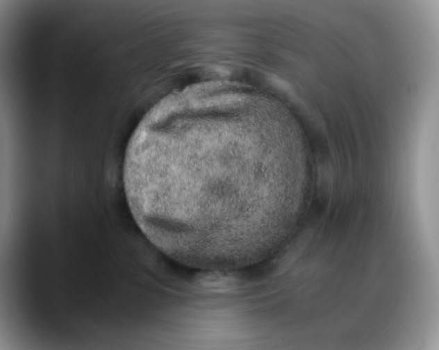 X0000088440331200706121513