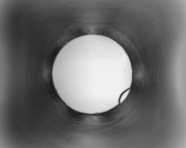 X0000088440332200706121513