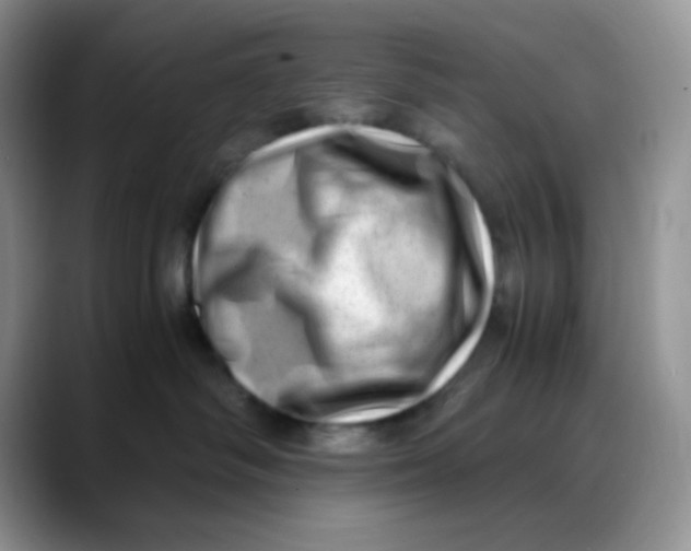 X0000088440334200706121513