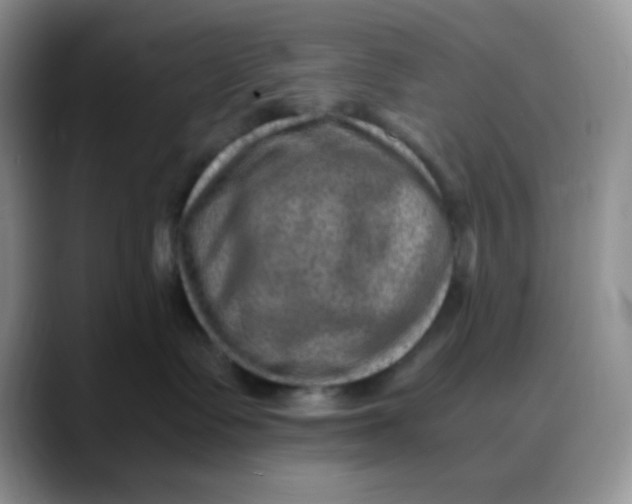 X0000088440335200706121513