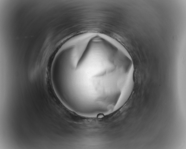 X0000088440338200706121513