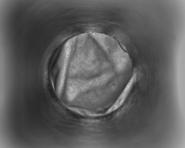 X0000088440339200706121513