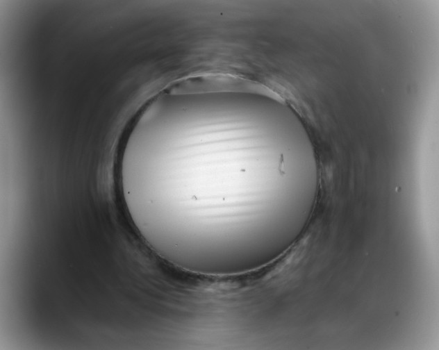 X0000088440340200706121513