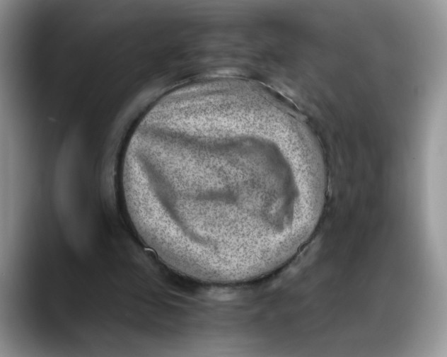 X0000088440341200706121513