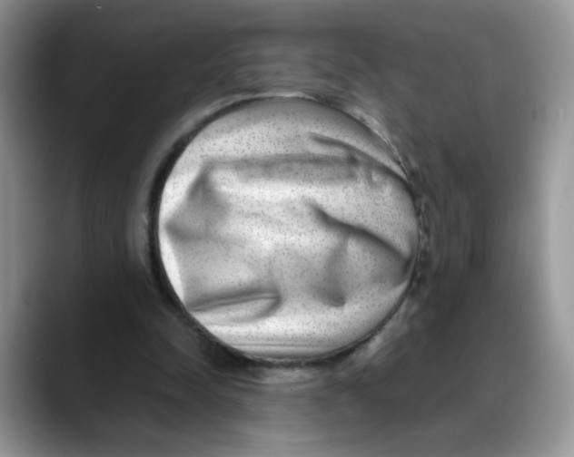X0000088440342200706121513