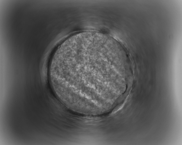 X0000088440343200706121513