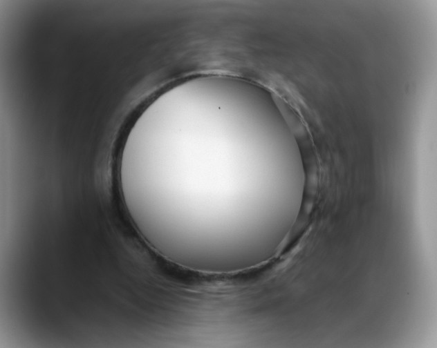 X0000088440344200706121513
