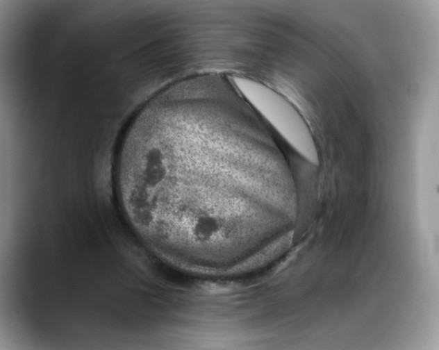 X0000088440346200706121513