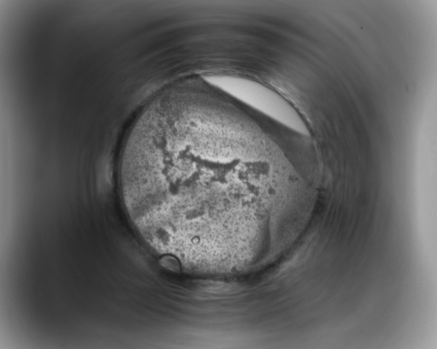 X0000088440347200706121513