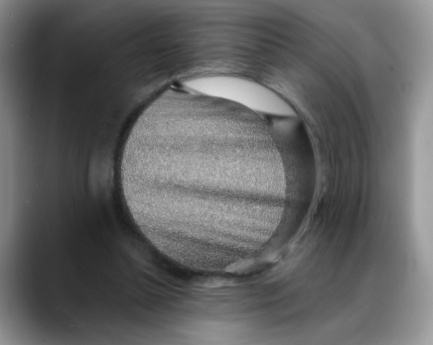 X0000088440348200706121513