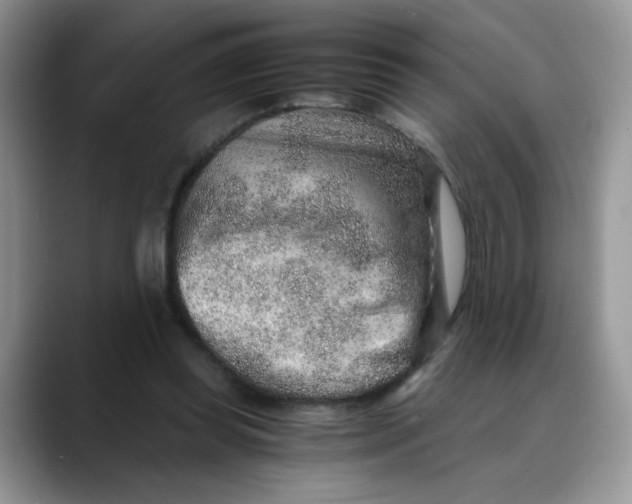 X0000088440349200706121513