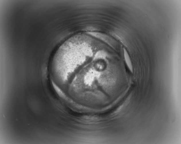 X0000088440351200706121513
