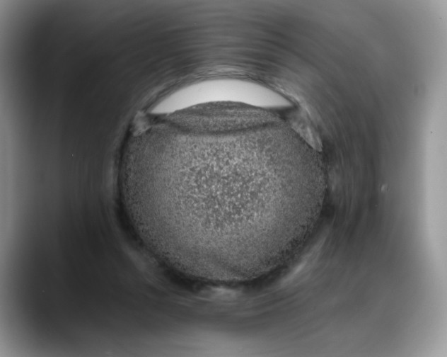 X0000088440352200706121513