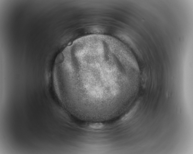 X0000088440355200706121513