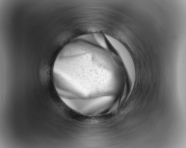 X0000088440356200706121513
