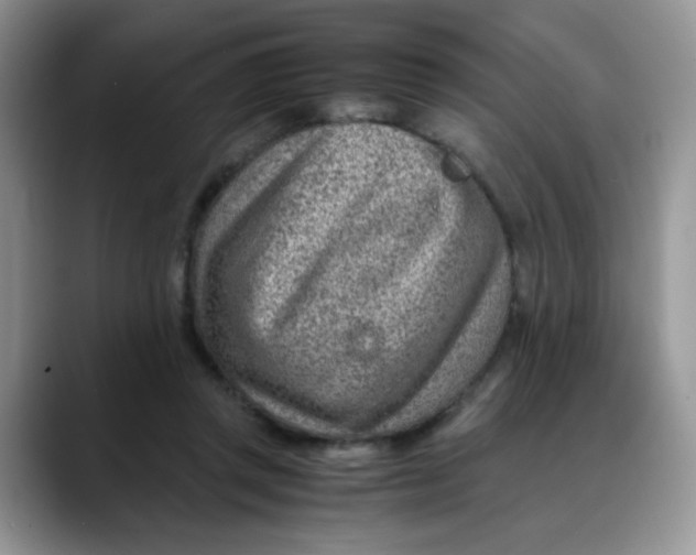 X0000088440357200706121513