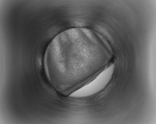 X0000088440358200706121513