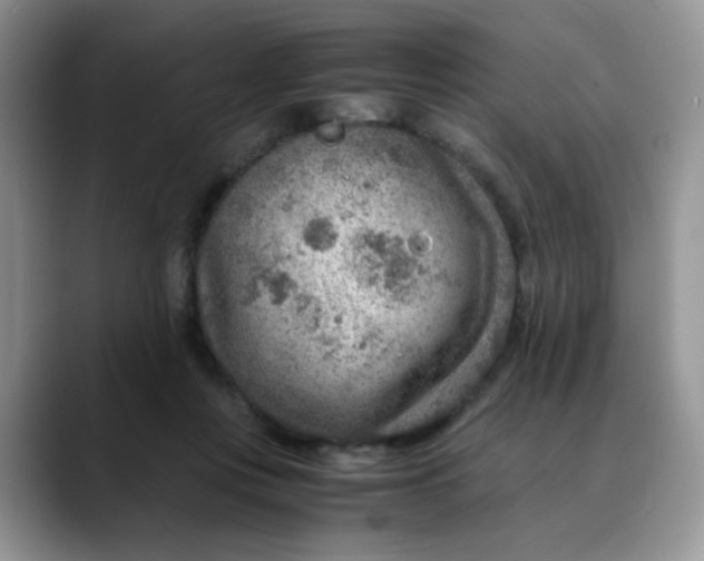 X0000088440359200706121513