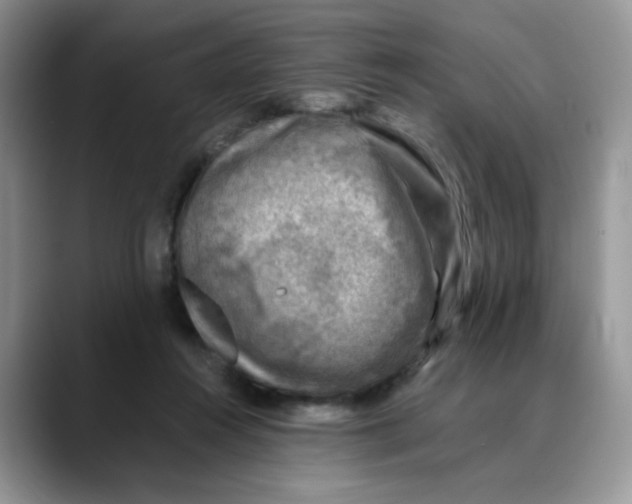 X0000088440360200706121513