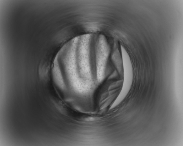 X0000088440364200706121513