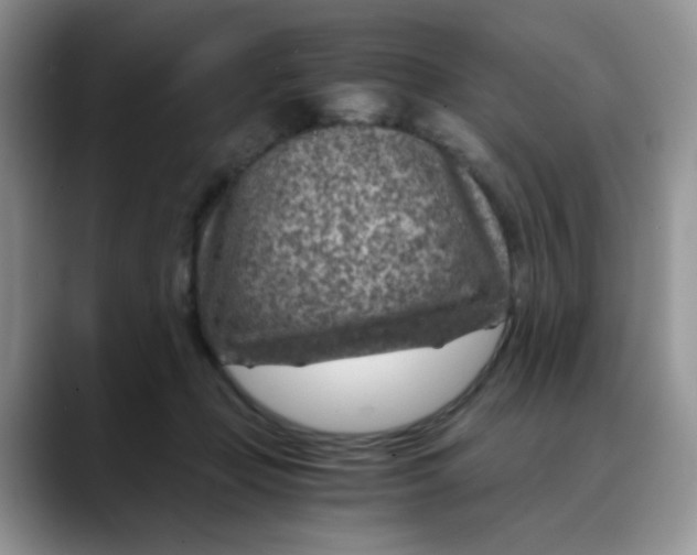 X0000088440365200706121513