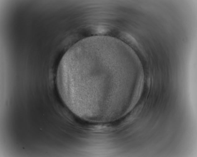 X0000088440366200706121513
