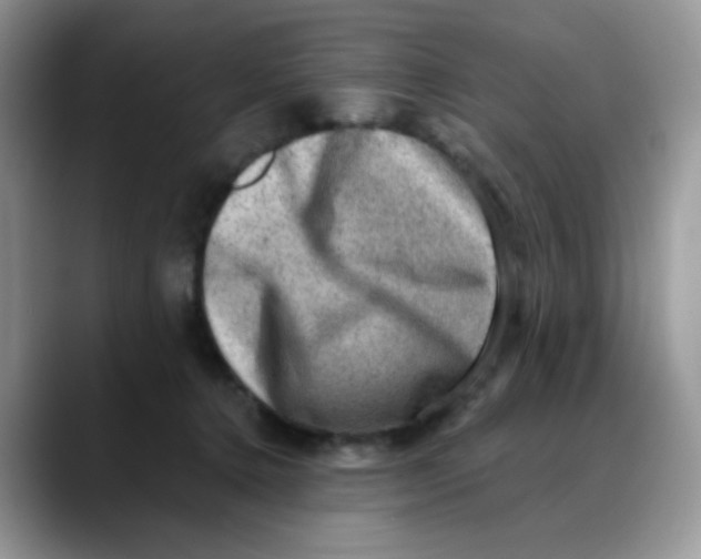 X0000088440368200706121513