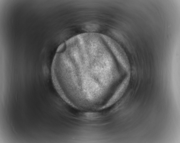 X0000088440371200706121513