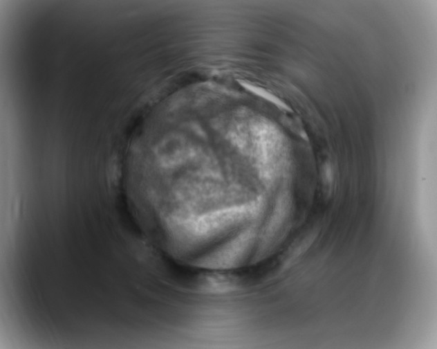 X0000088440372200706121513
