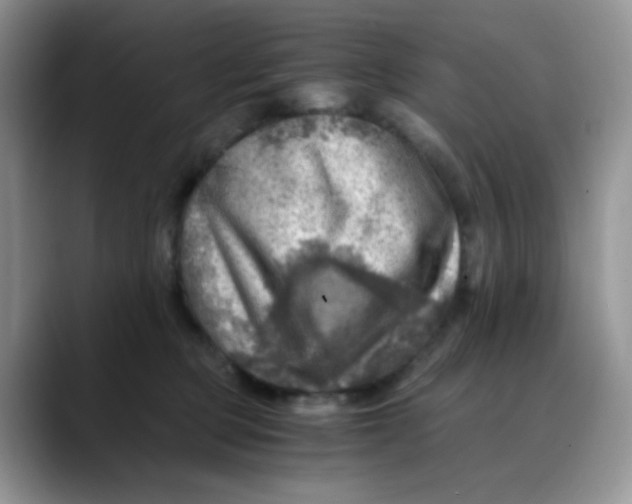 X0000088440373200706121513