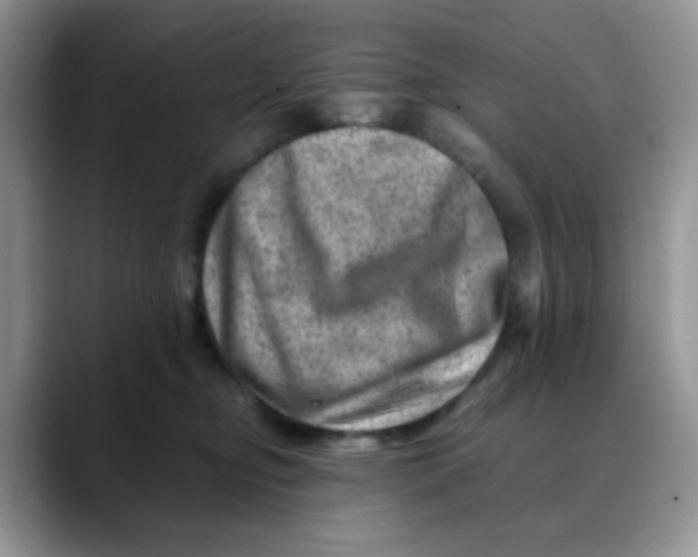 X0000088440374200706121513