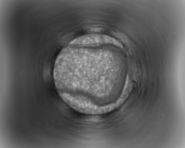 X0000088440377200706121513