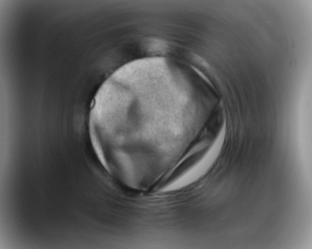 X0000088440379200706121513