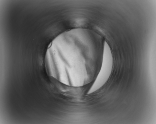 X0000088440380200706121513