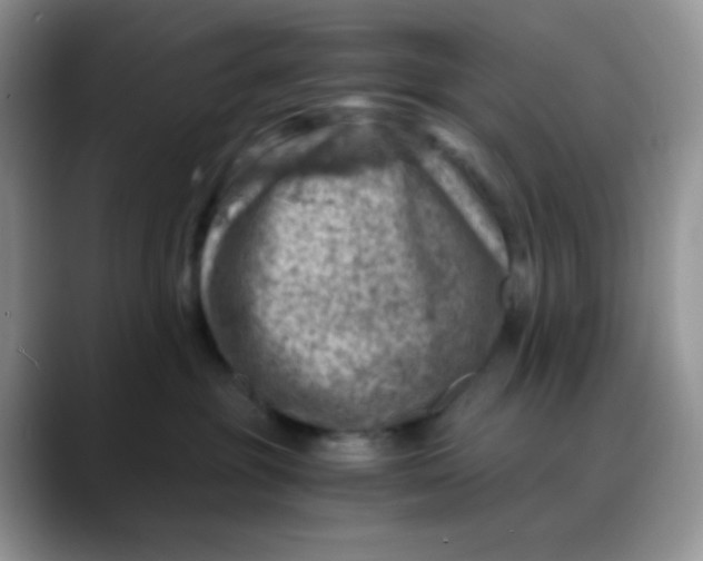 X0000088440381200706121513