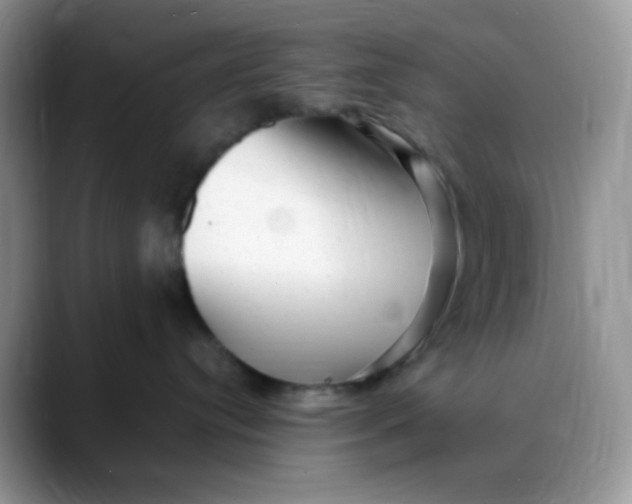 X0000088440384200706121513