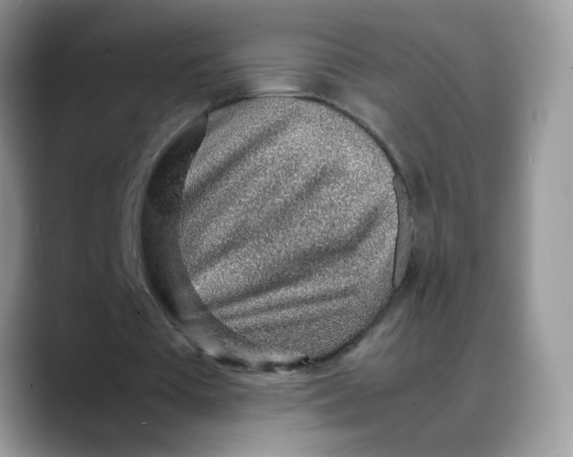 X0000088440385200706121513