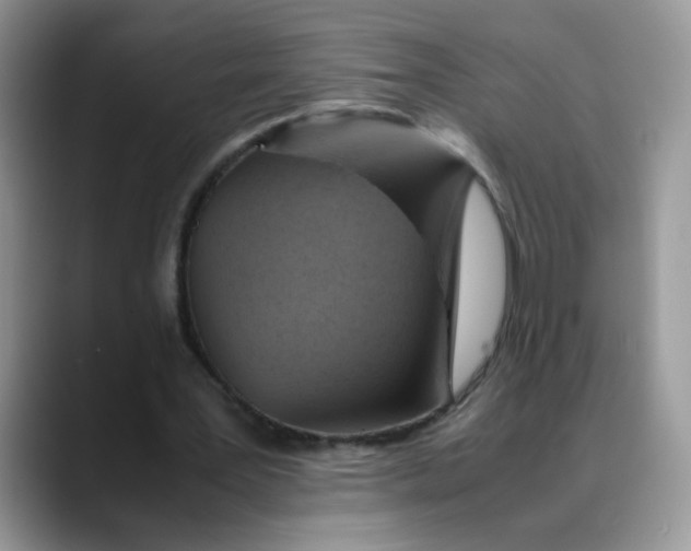 X0000088440387200706121512