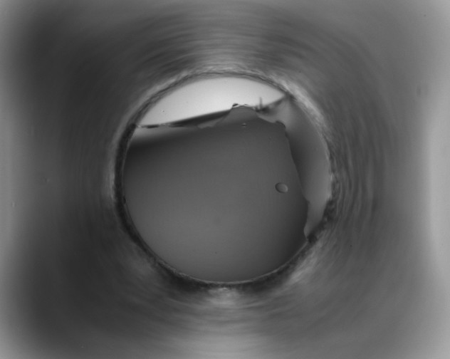 X0000088440391200706121512