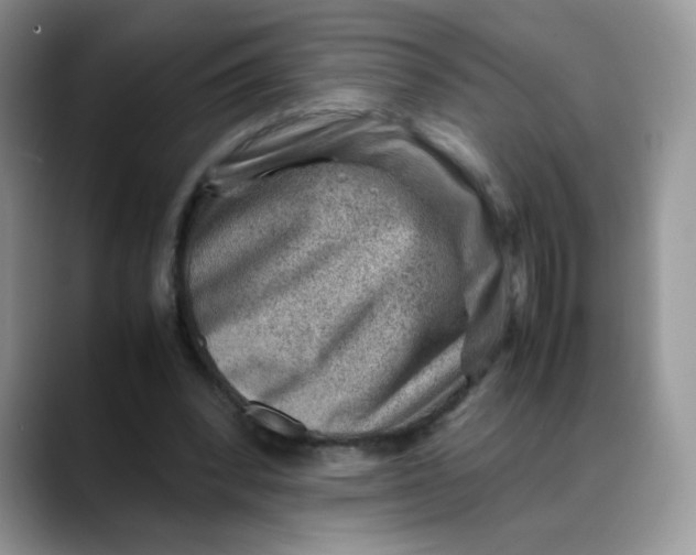 X0000088440392200706121512