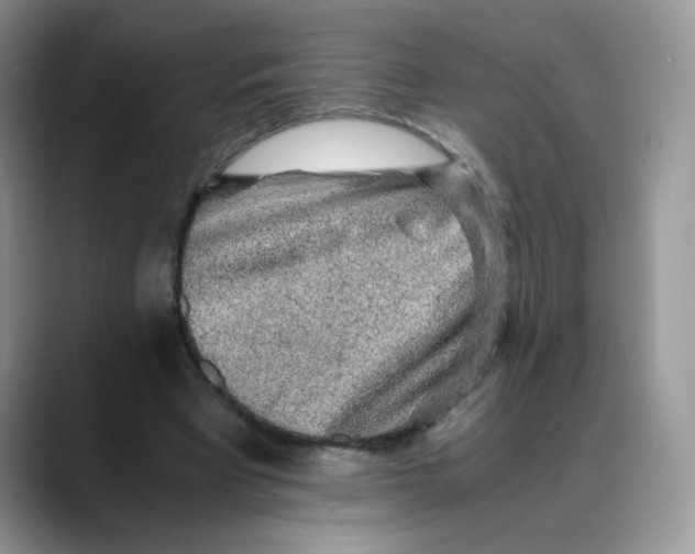 X0000088440393200706121512