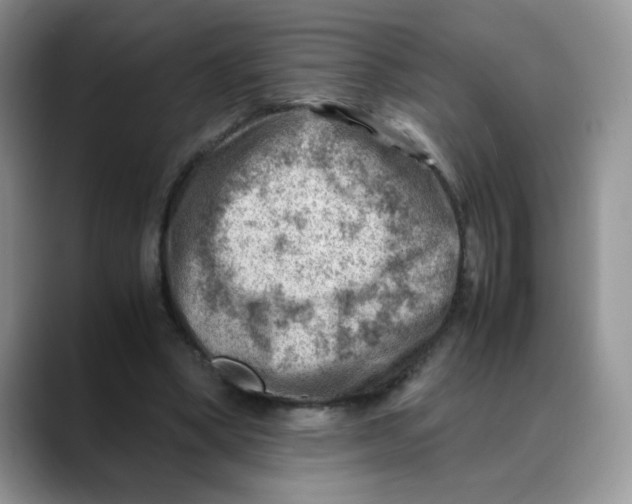 X0000088440394200706121512