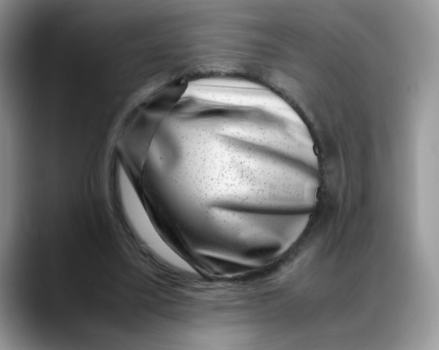 X0000088440395200706121512