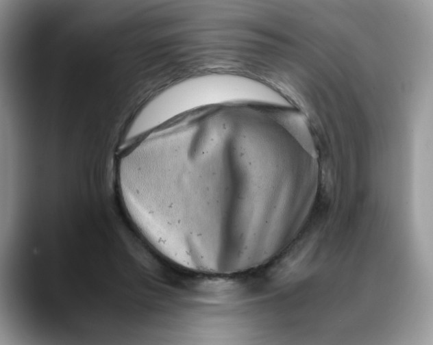 X0000088440397200706121512