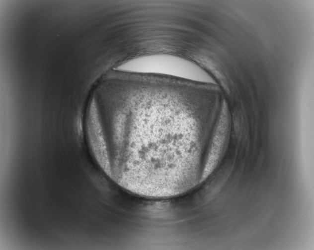 X0000088440398200706121512
