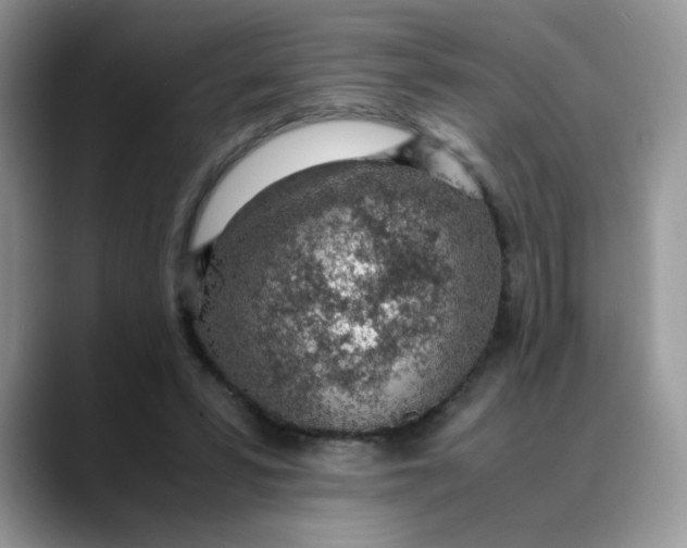 X0000088440399200706121512
