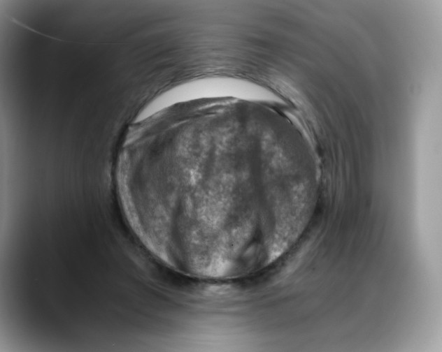X0000088440401200706121512