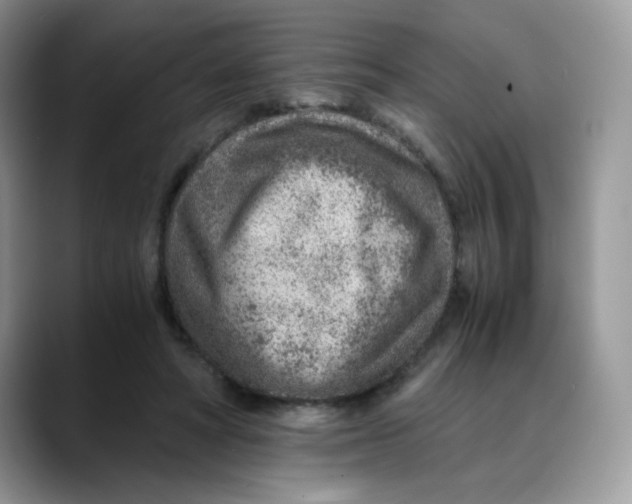 X0000088440402200706121512